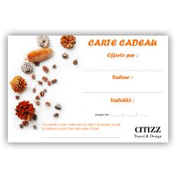 CARTE CADEAU EDITION NOËL